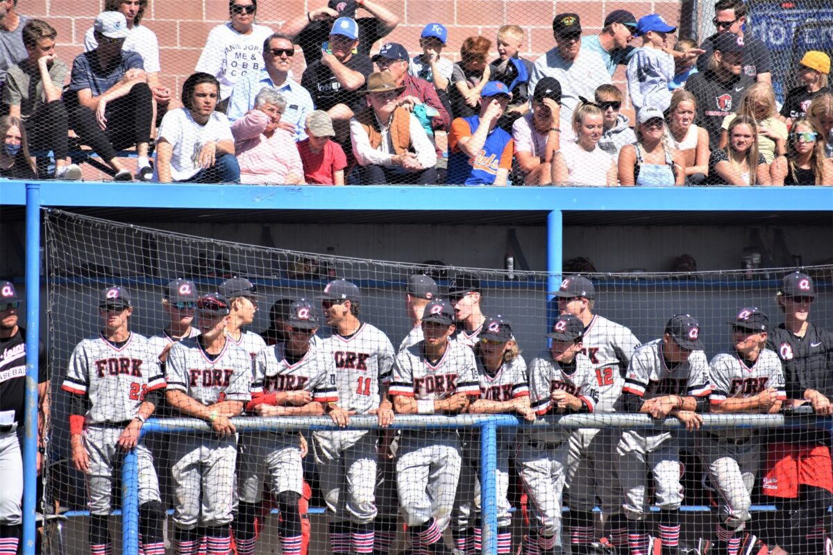 American Fork baseball gets team effort in rout of Corner Canyon News